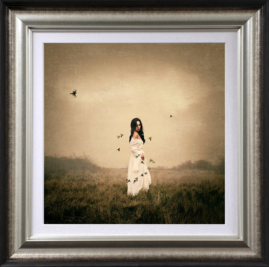 Michelle Mackie - 'Song Bird' - Framed Limited Edition Art