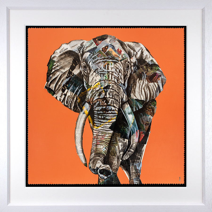 Chess - 'Our Wildest Wilderness' - Framed Limited Edition Print