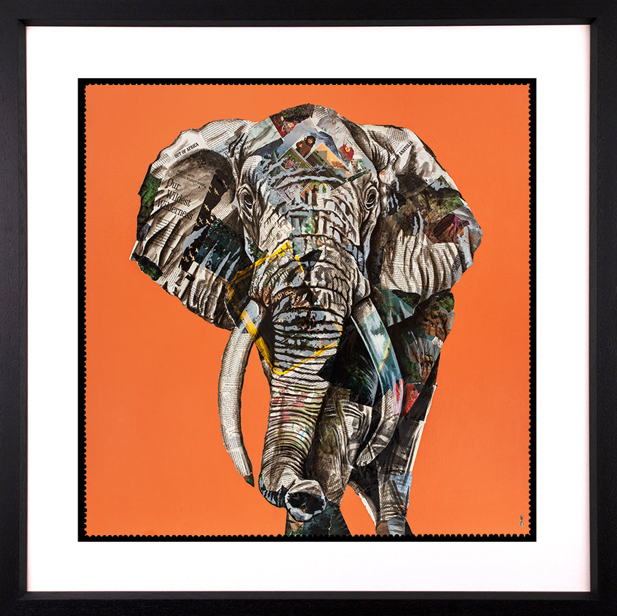 Chess - 'Our Wildest Wilderness' - Framed Limited Edition Print