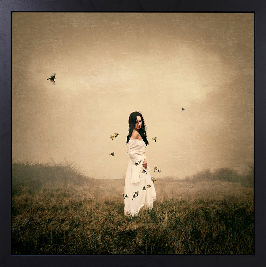 Michelle Mackie - 'Song Bird' - Framed Original