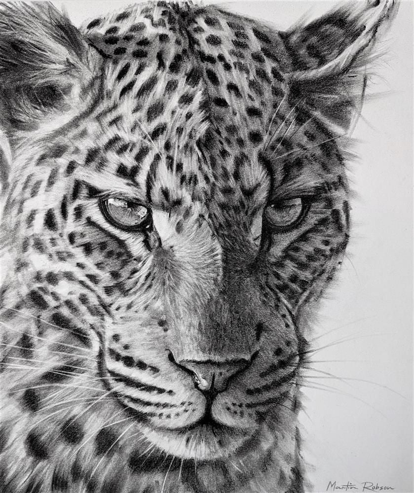 Martin Robson - 'Emerald Gaze Study' - Framed Original Art