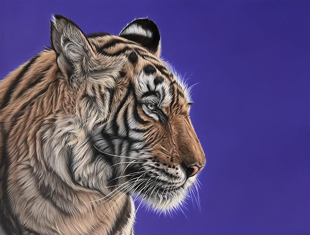 Owain George - 'Purple Reign' - Framed Original Art