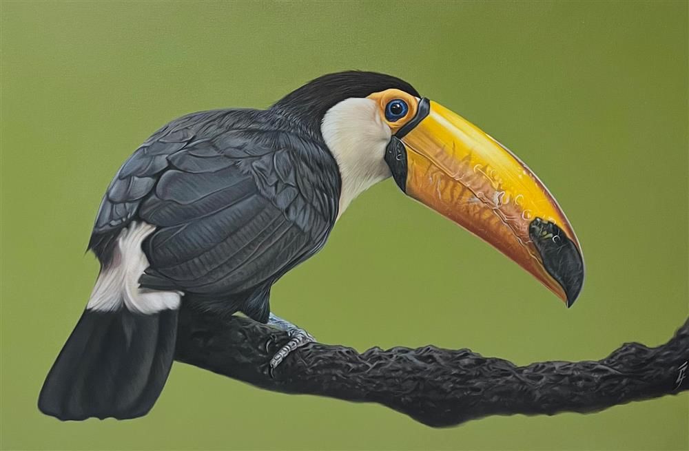 Owain George - 'Toco' - Framed Original Art