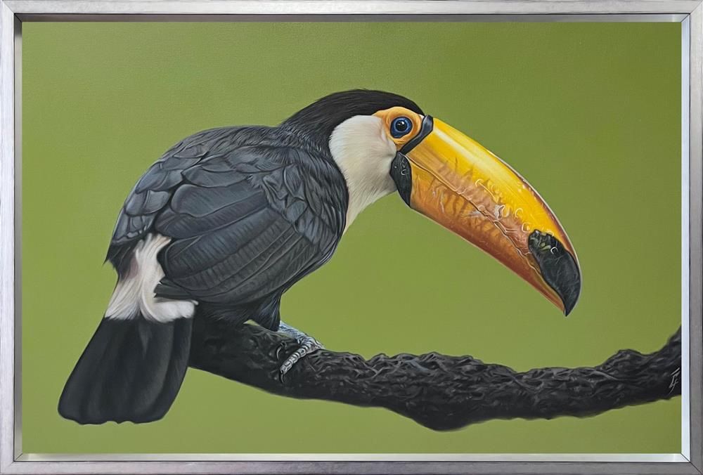 Owain George - 'Toco' - Framed Original Art