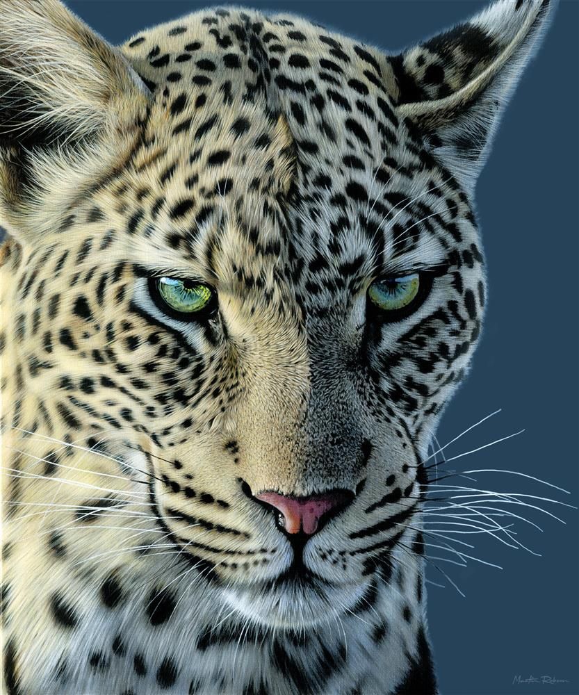 Martin Robson - 'Emerald Gaze' - Framed Limited Edition Art