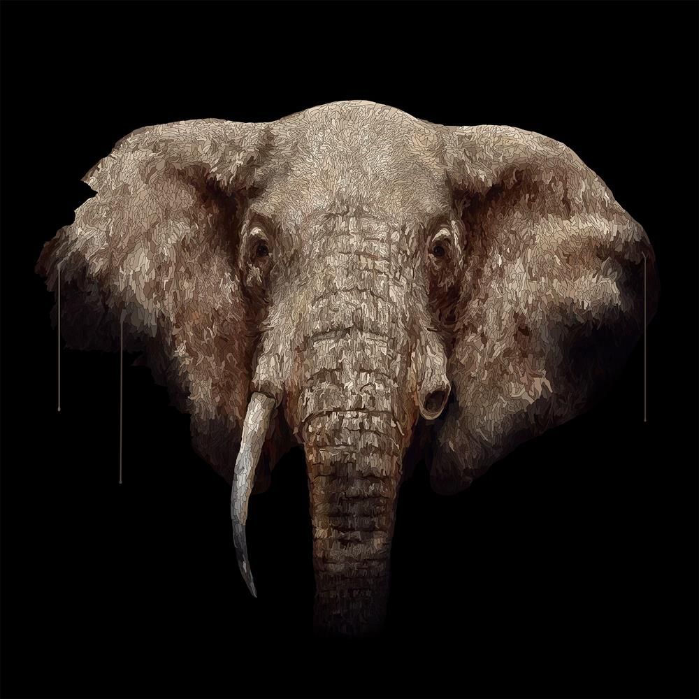 Van Hargen Art - 'Innocence'- The Fractured Collection Framed Original Artwork