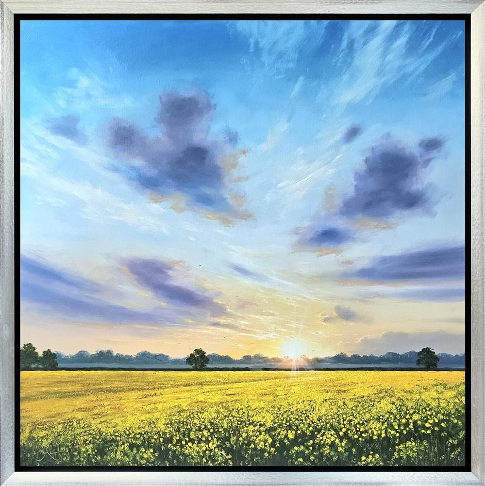 Ben Payne - 'A New Day' - Framed Original Art