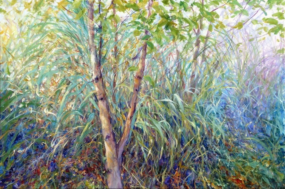 Mariusz Kaldowski - 'Birch Serenity' - Framed Original Art