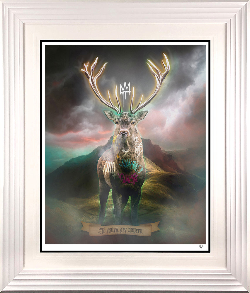 JJ Adams - 'Highland Hunk - Gold' -   Limited Edition