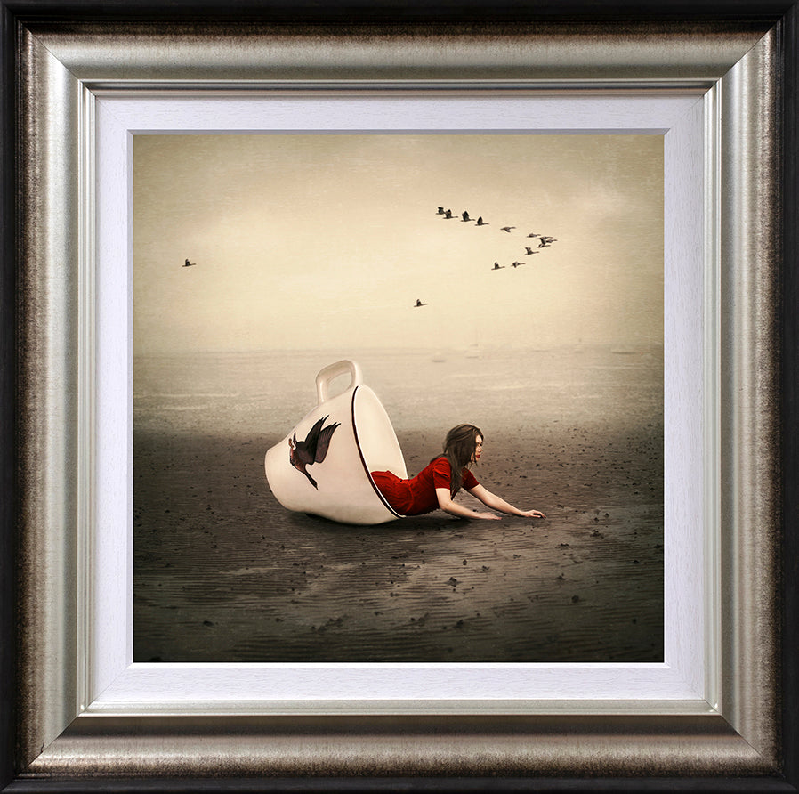 Michelle Mackie - 'Morning Flight' - Framed Limited Edition Art