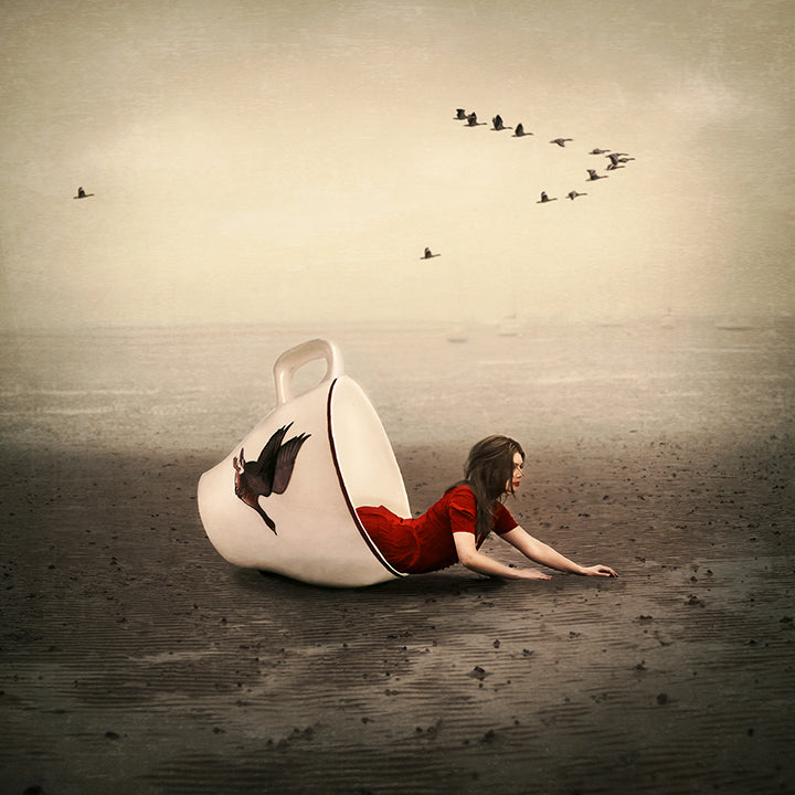 Michelle Mackie - ' Morning Flight ' - Framed Original