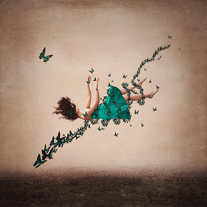 Michelle Mackie - 'If I Fall' - Framed Original