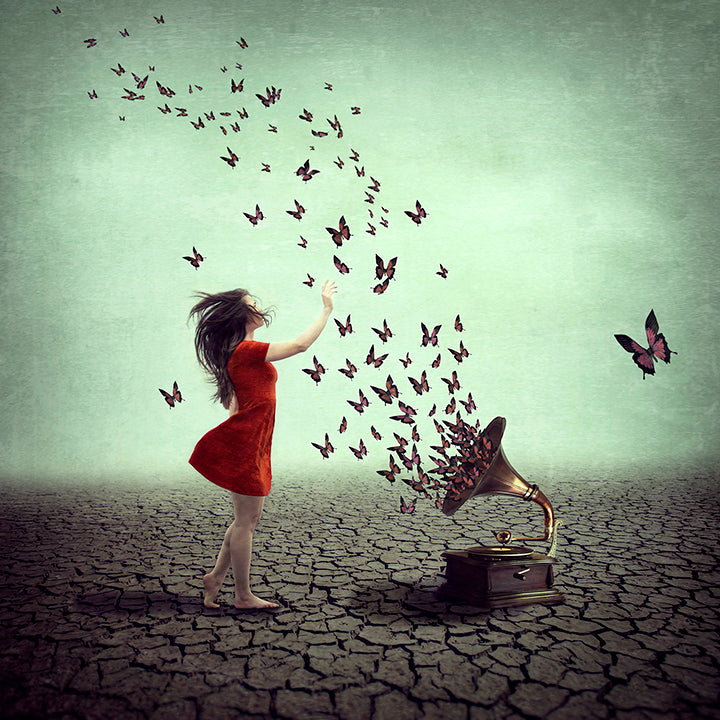 Michelle Mackie - 'A Melody That Flies' - Framed Limited Edition Art