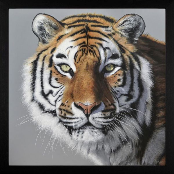 Martin Robson - 'Amur Tiger' - Framed Original Art