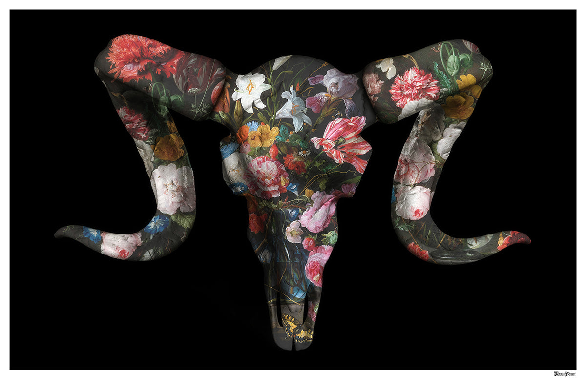 Monica Vincent - 'Floral Ram Skull' - Framed Limited Edition Print