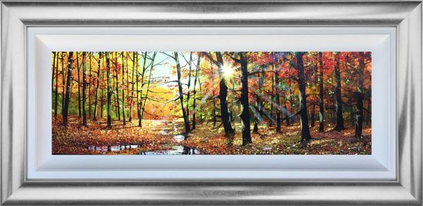 Nick Potter - 'Sunburst After The Rain' - Framed Original Art