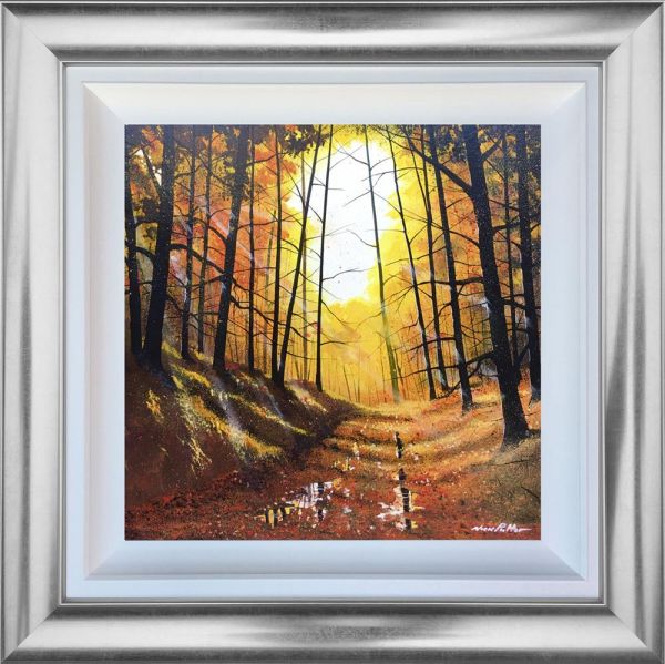 Nick Potter - 'Sunshine And Showers' - Framed Original Art
