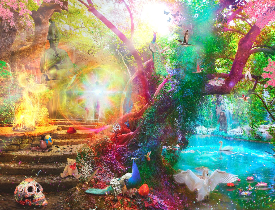 Neil Pengelly - 'Rebirth'- Framed Limited Edition Print