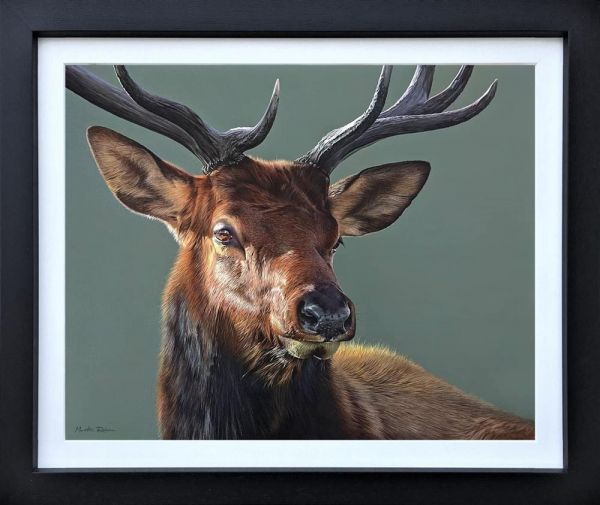 Martin Robson - 'Red Deer' - Framed Original Art