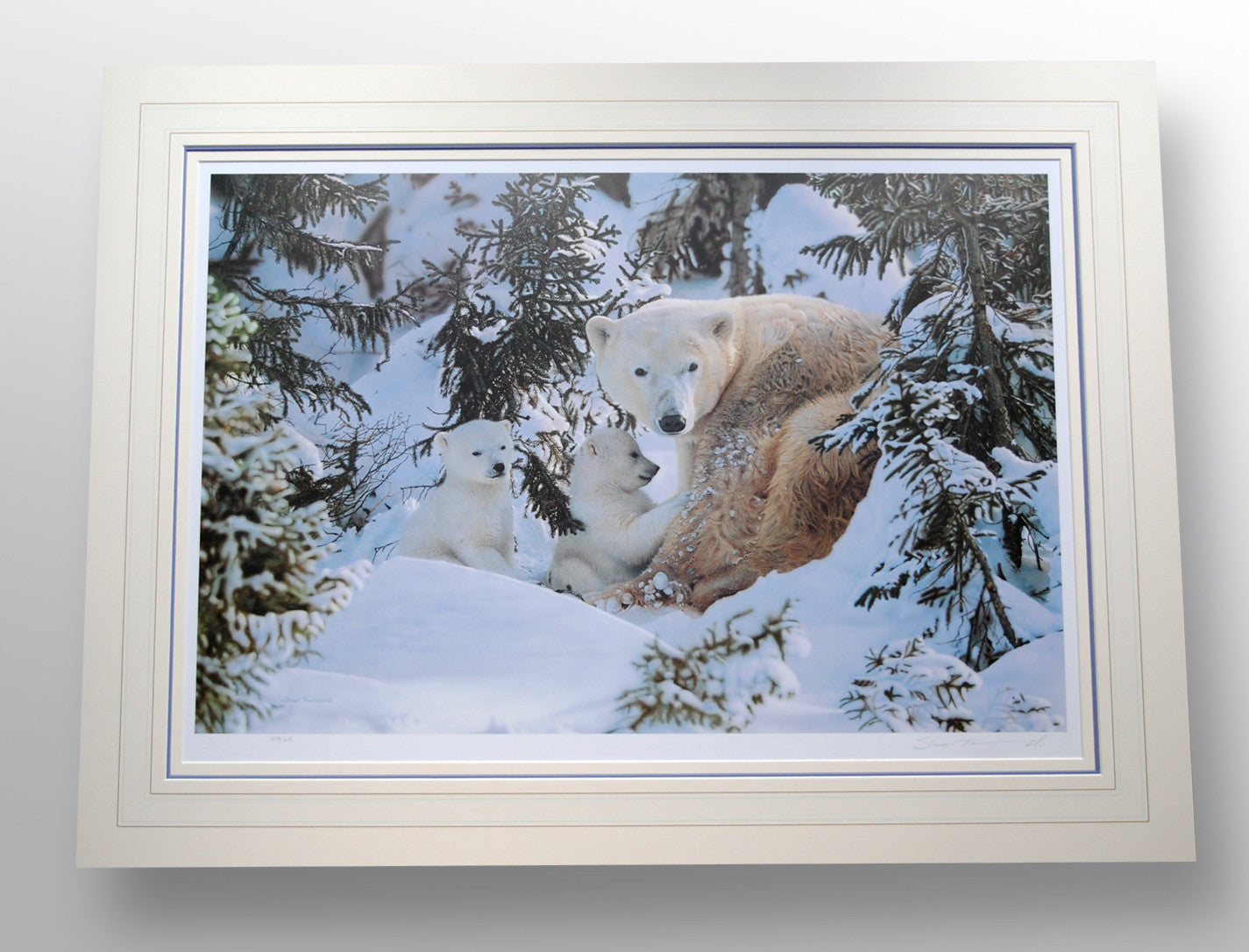 "Warmth of Nature" by Steven Townsend (limited edition print)