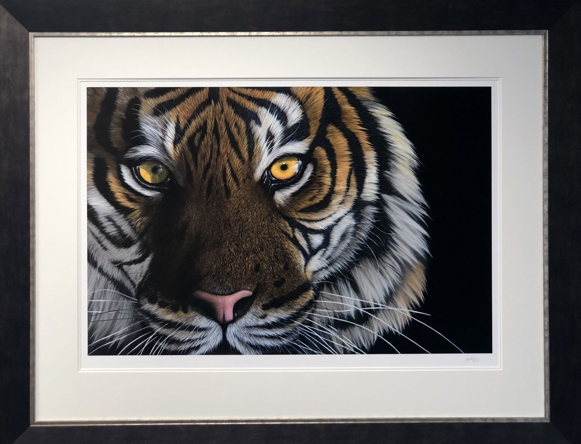 Jonathan Truss - 'Tigers Eyes' -  Framed Limited Edition