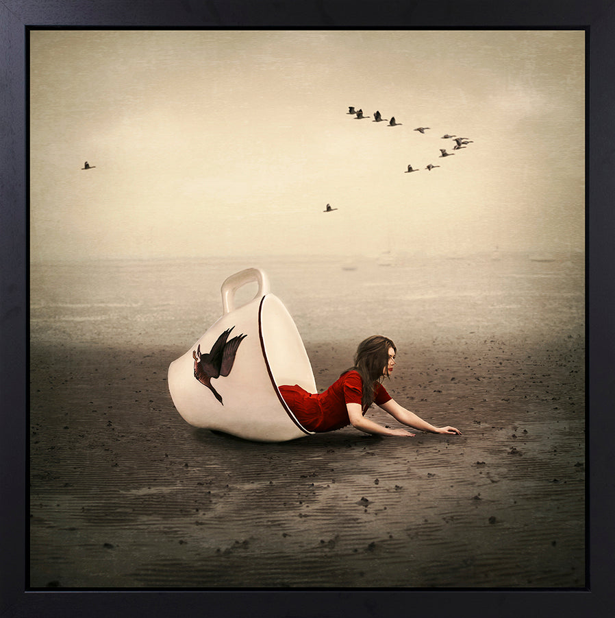 Michelle Mackie - ' Morning Flight ' - Framed Original