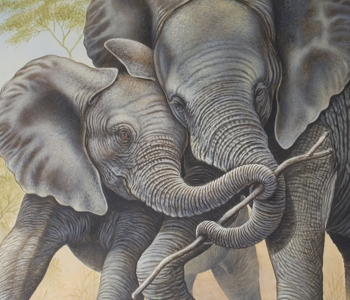 Richard Orr - 'Baby Elephants Tussle' - Original Art