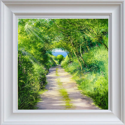 Heather Howe - 'Summer Swathes' - Framed Limited Edition Print