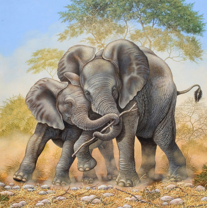 Richard Orr - 'Baby Elephants Tussle' - Original Art