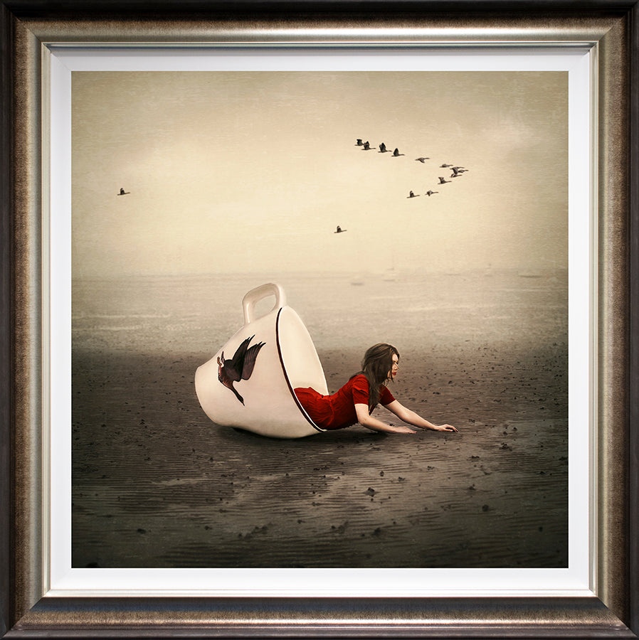 Michelle Mackie - 'Morning Flight' - Framed Limited Edition Art