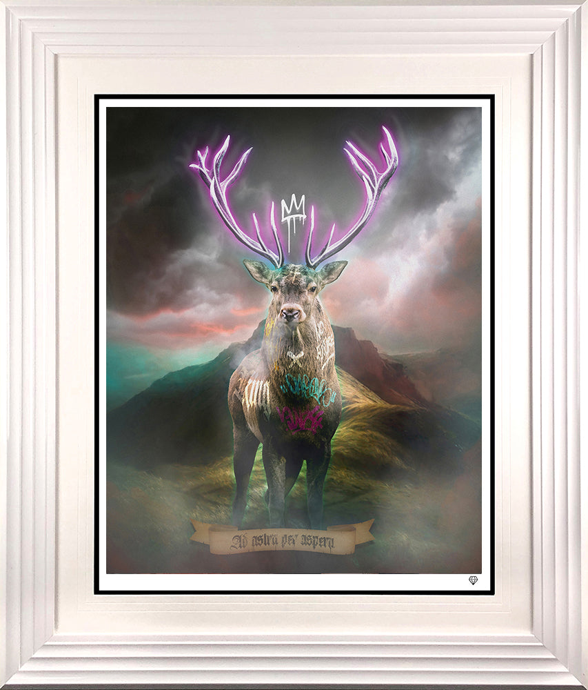 JJ Adams - 'Highland Hunk - Purple' -  Framed Limited Edition