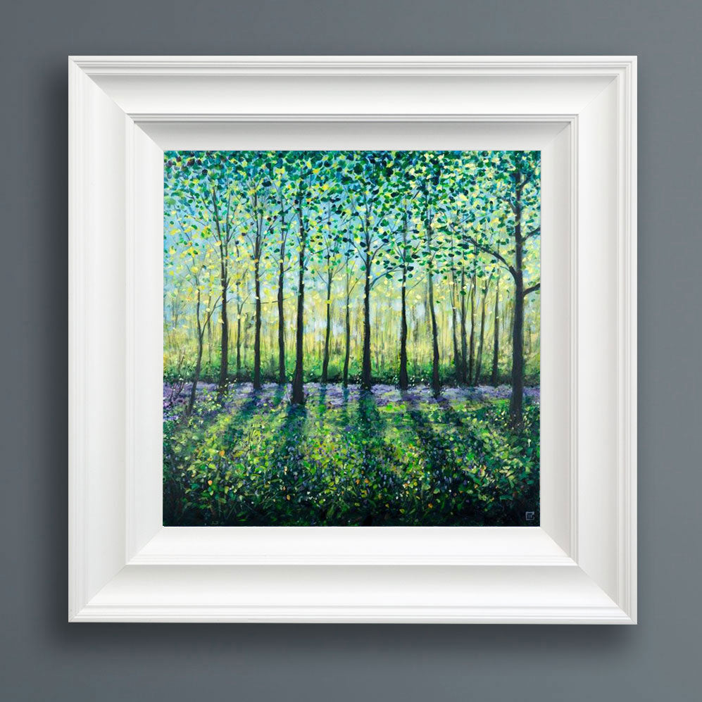 Chris Pennock - 'Spring Bluebells' - Framed Limited Edition