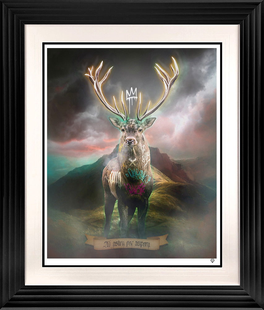 JJ Adams - 'Highland Hunk - Gold' -   Limited Edition