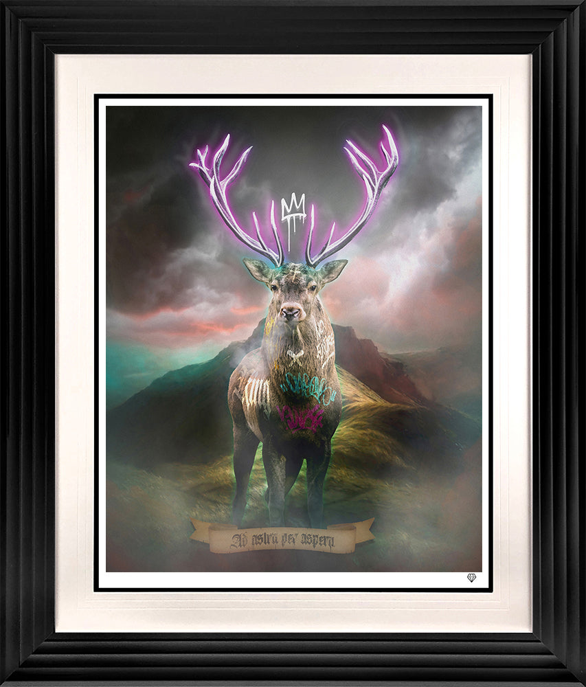 JJ Adams - 'Highland Hunk - Purple' -  Framed Limited Edition