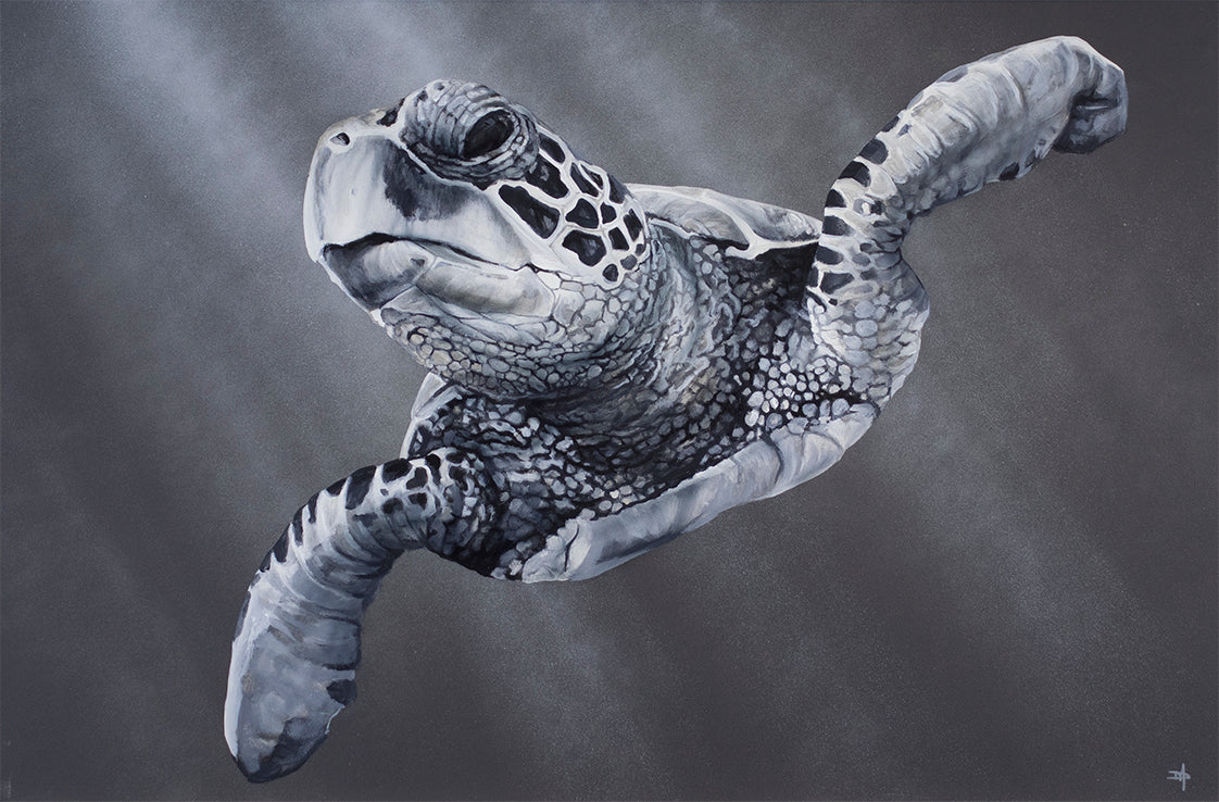 Dean Martin  - ' Heading For The Reef' - Framed Original