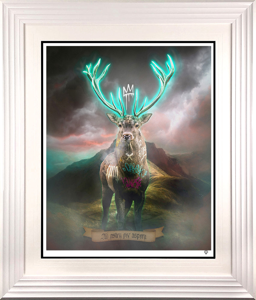 JJ Adams - 'Highland Hunk - Turquoise' -  Limited Edition