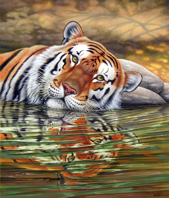 Richard Orr - 'Tiger, Cooling Off' - Original Art