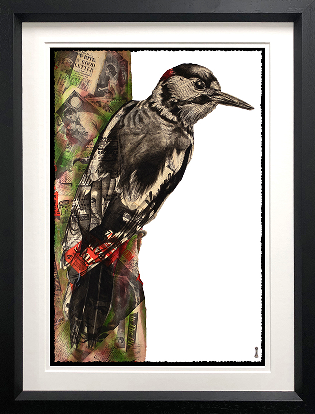 Chess - 'Charm ( Blue Skies-British Bird Collection)' - Framed Limited Edition Print