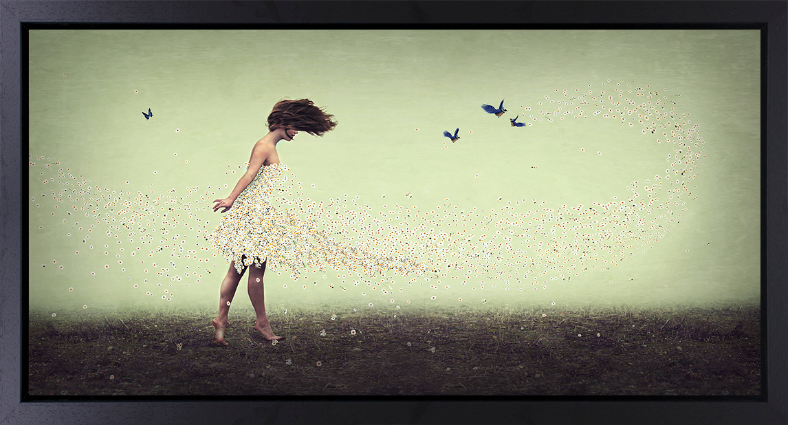 Michelle Mackie - ' Daisiy ' - Framed Original