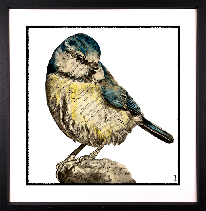 Chess - 'Sweet Song ( Blue Skies-British Bird Collection' - Framed Limited Edition Print
