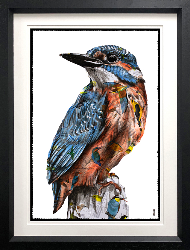 Chess - 'Jewel ( Blue Skies-British Bird Collection' - Framed Limited Edition Print