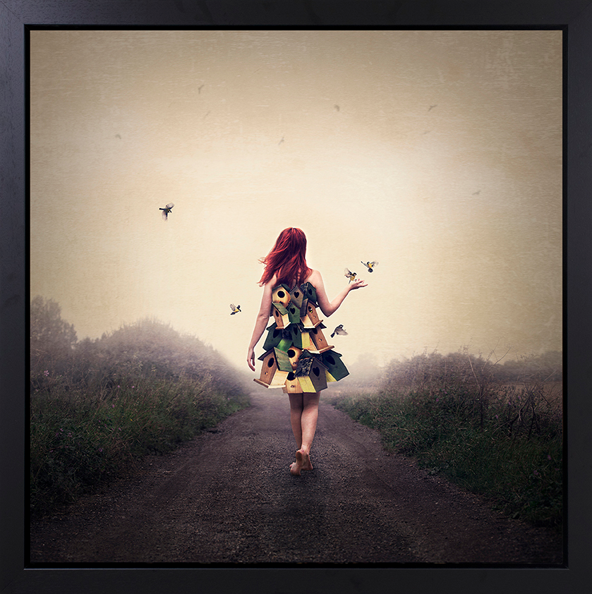 Michelle Mackie - ' Bird Box ' - Framed Original