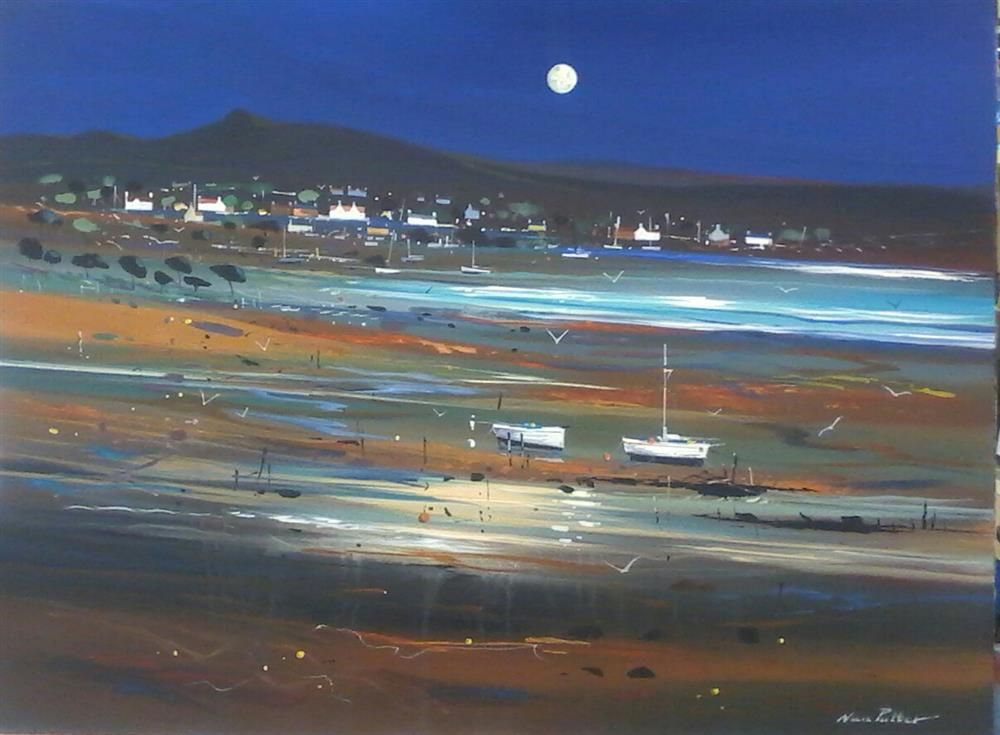 Nick Potter - 'Coastal Communities - Moonlight' - Framed Original Art
