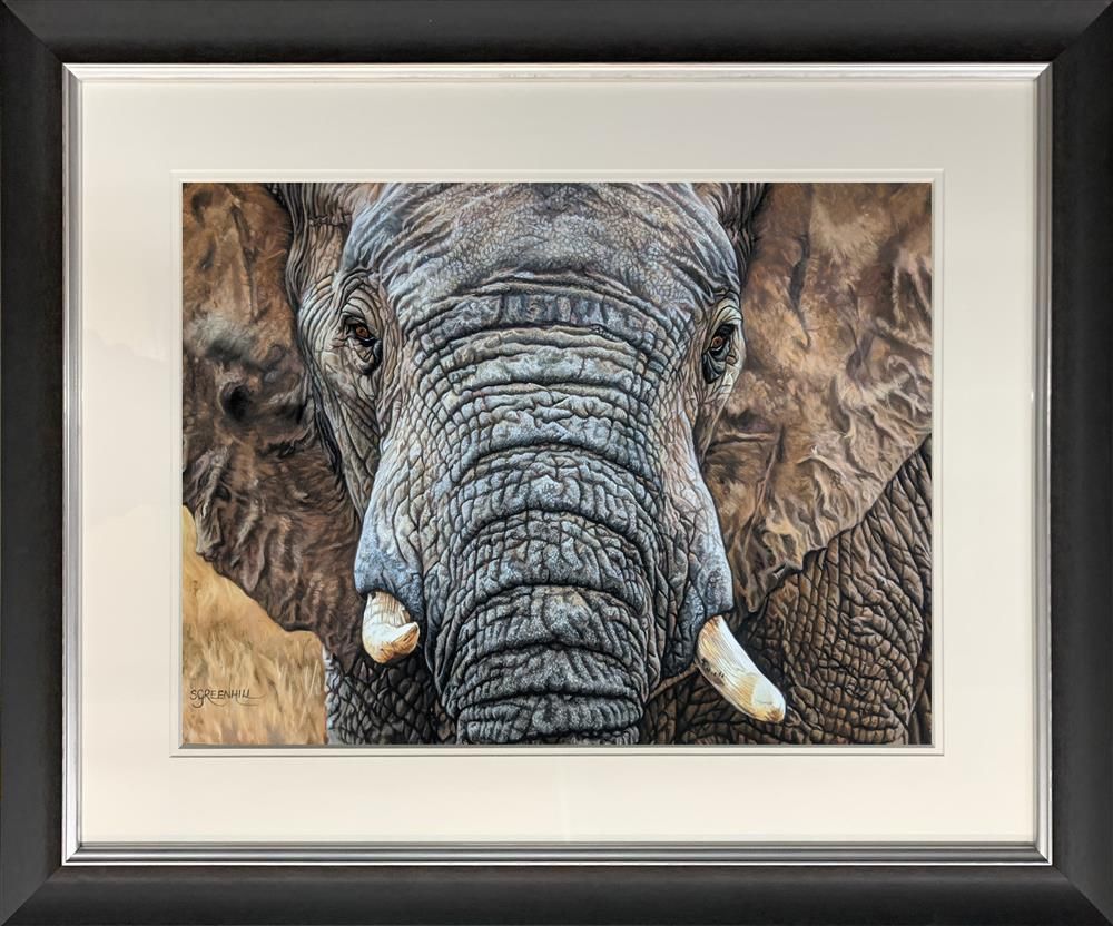 Samantha Greenhill - 'Tembo' - Framed Limited Edition