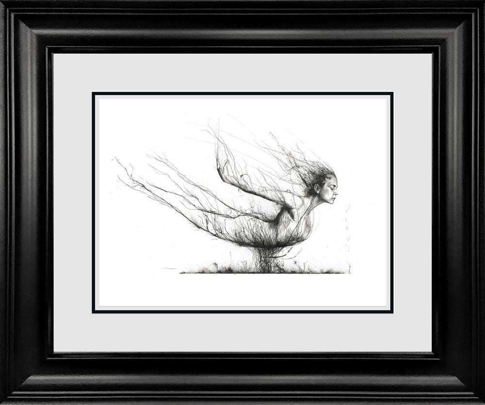 Scott Tetlow - ' Fly ' - Framed Original Art