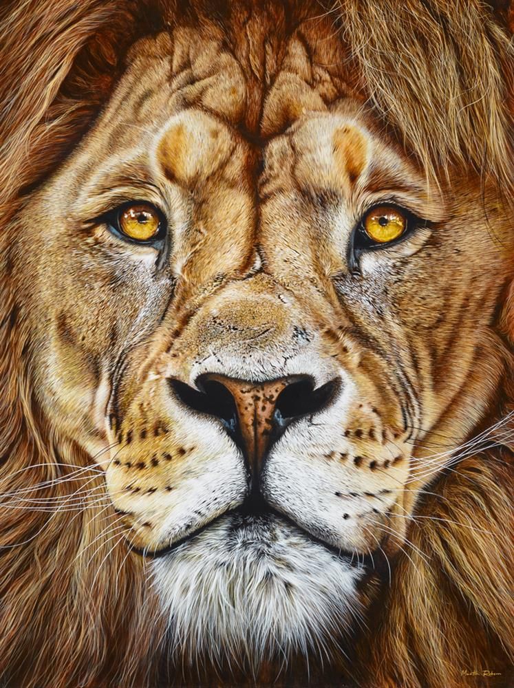 Martin Robson - 'The King' - Deluxe Framed Limited Edition Art