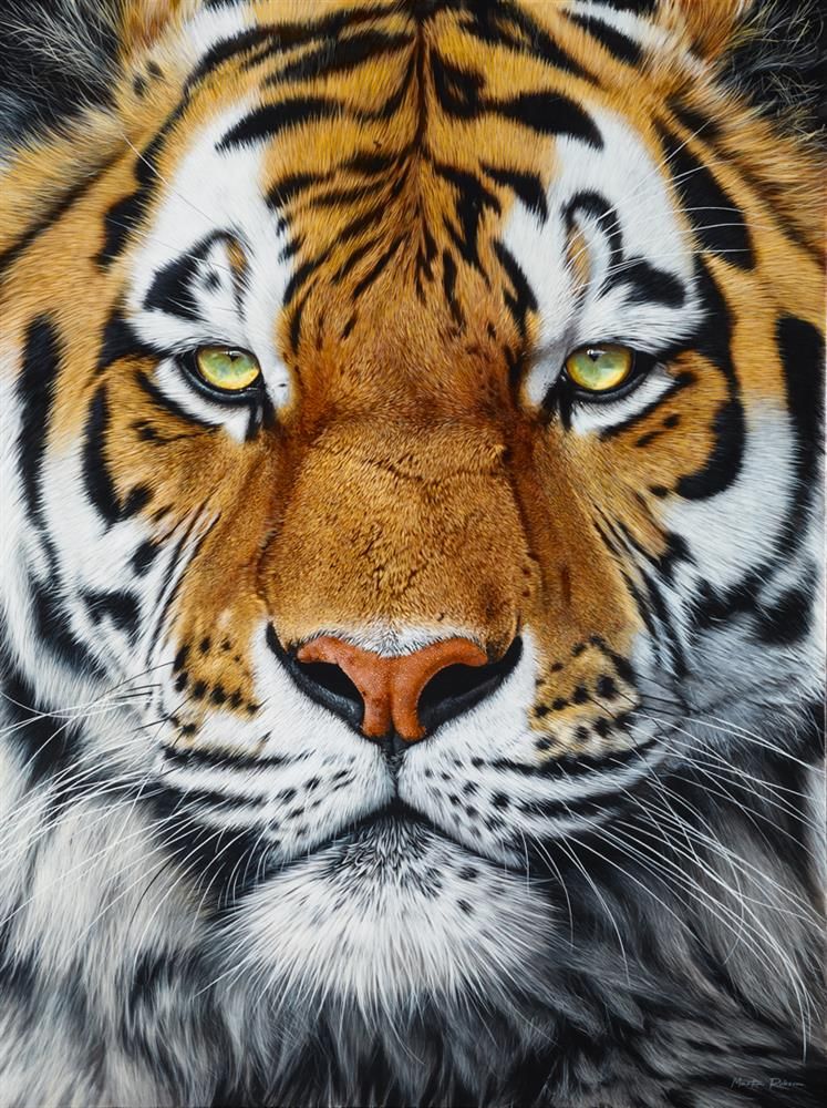 Martin Robson - 'The Prince' - Deluxe Framed Limited Edition Art