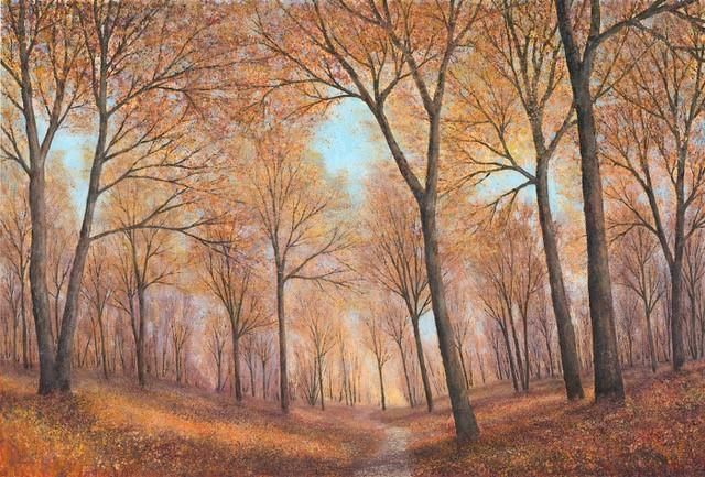 Chris Bourne - 'Golden Light Through The Trees' - Framed Original Art
