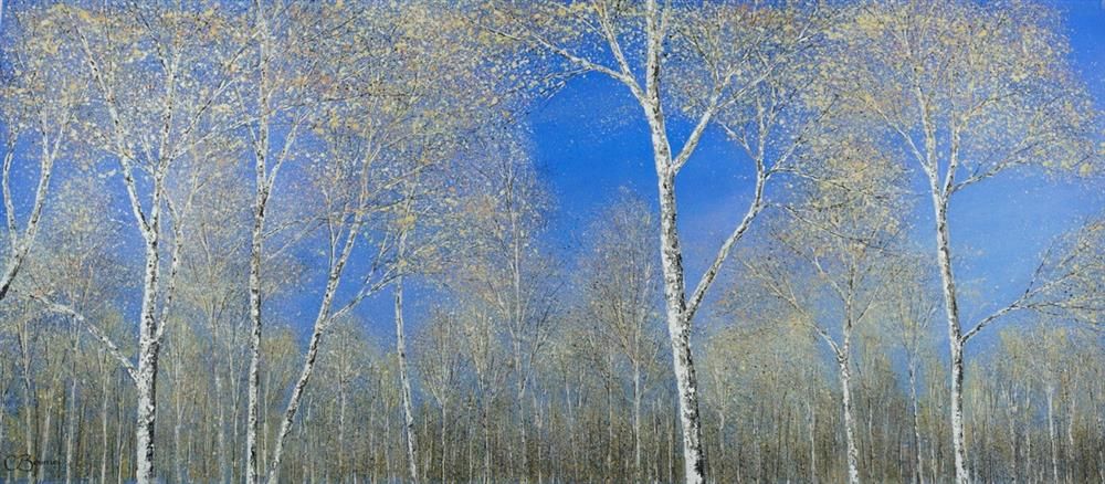 Chris Bourne - 'Silver Birch Canopy' - Framed Original Art