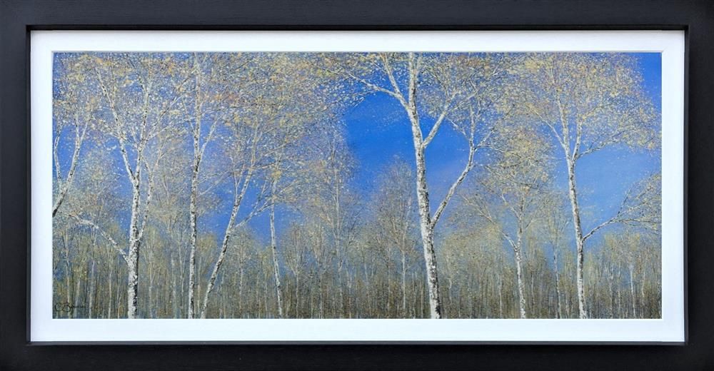 Chris Bourne - 'Silver Birch Canopy' - Framed Original Art